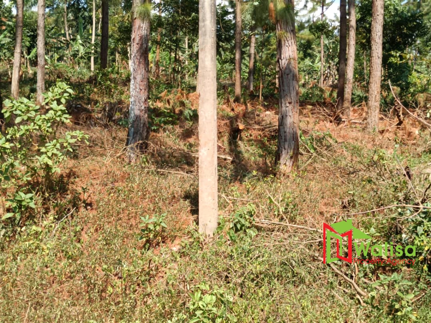 Commercial Land for sale in Bwebajja Wakiso