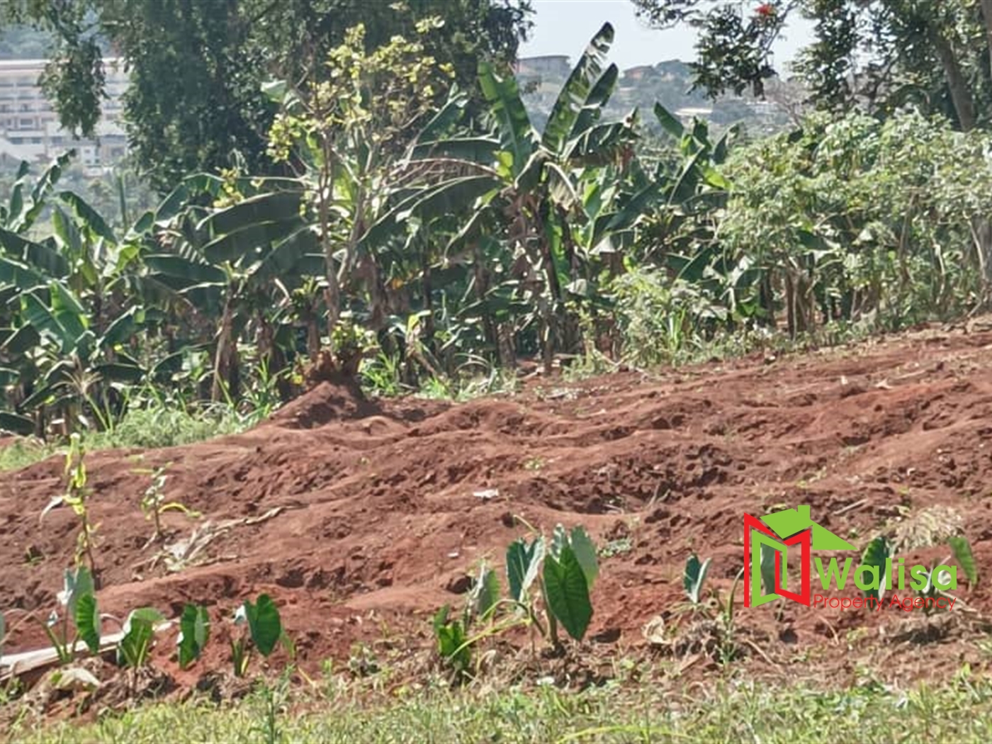 Commercial Land for sale in Bwebajja Wakiso