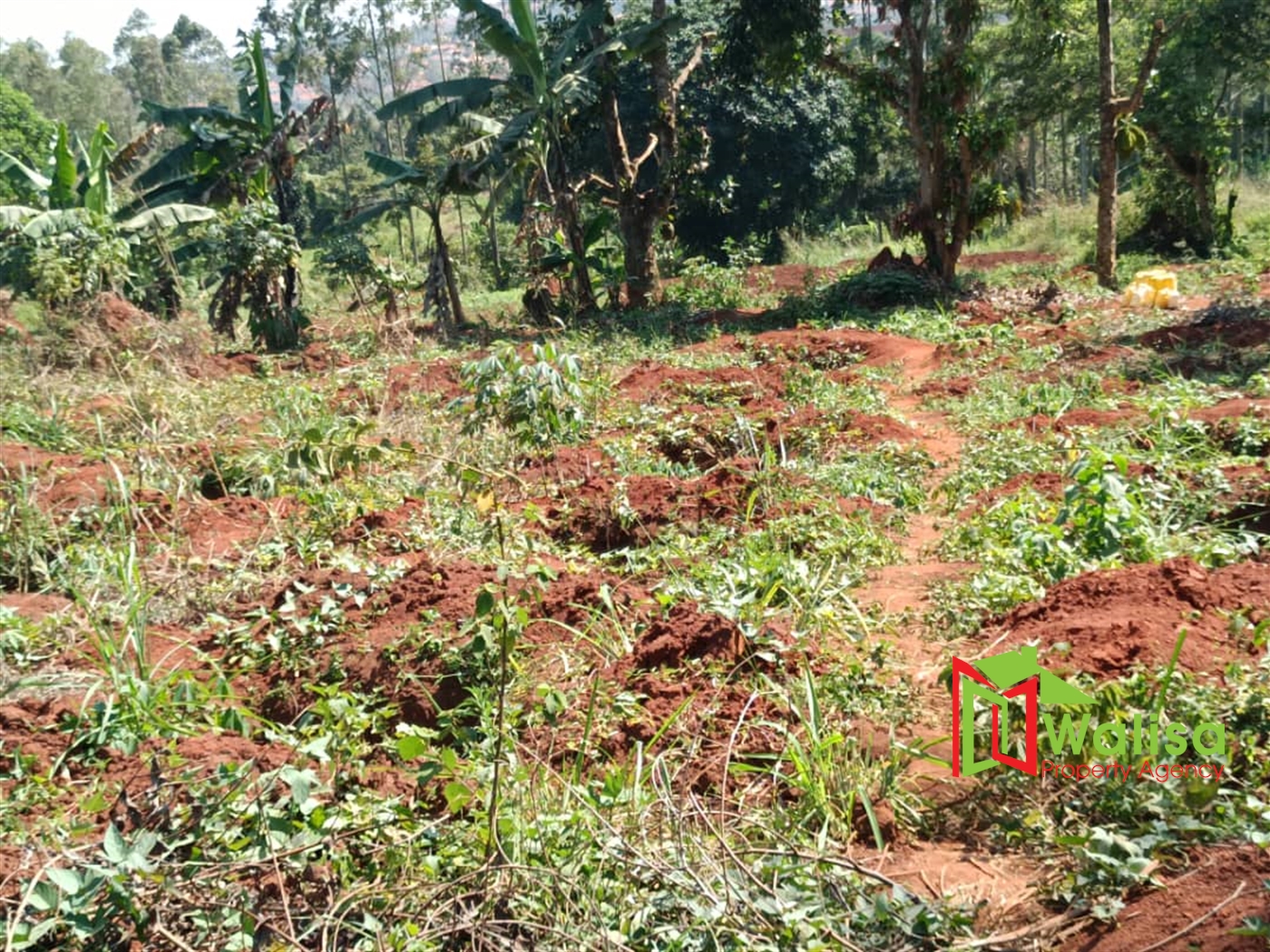 Commercial Land for sale in Bwebajja Wakiso