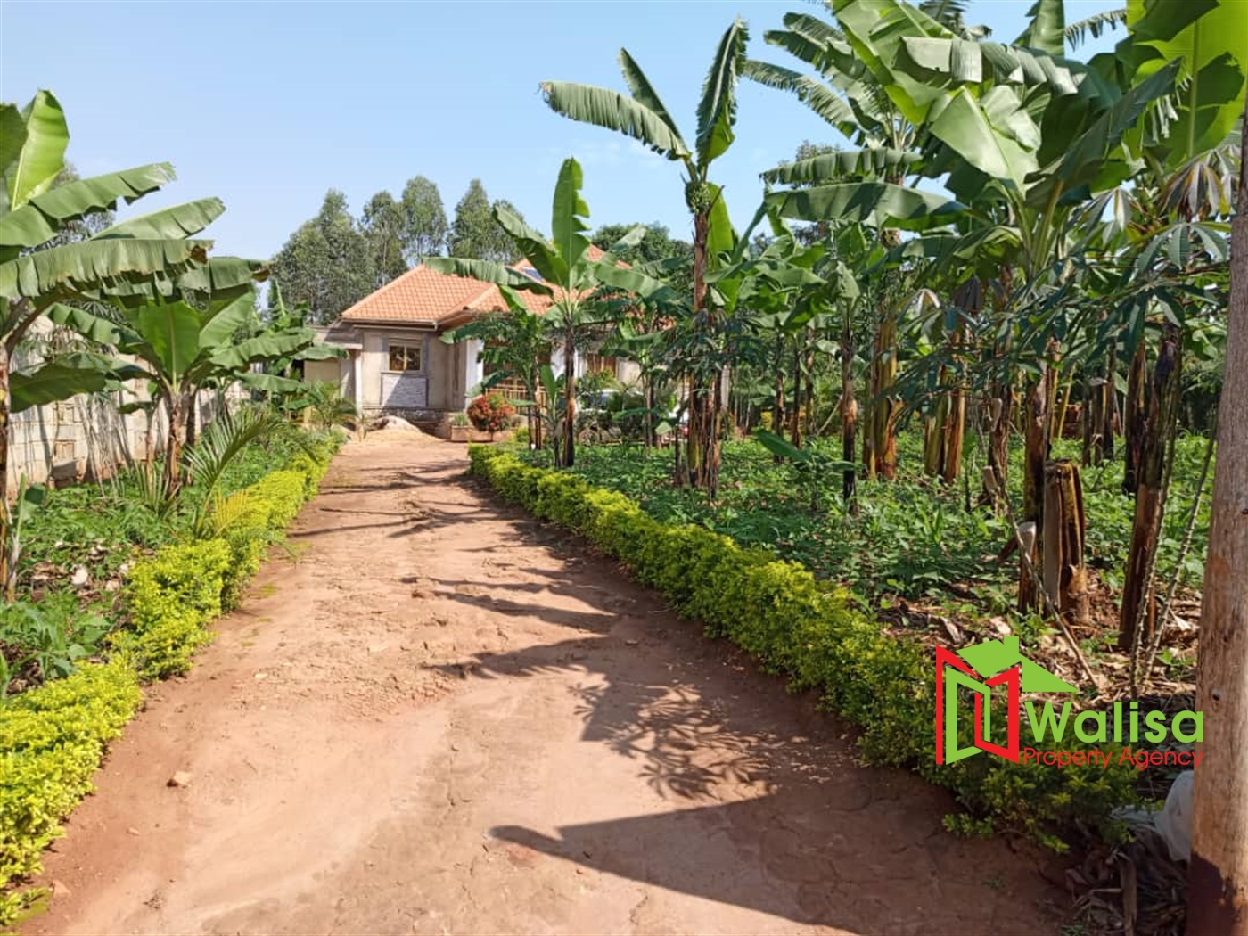 Bungalow for sale in Nkoowe Wakiso