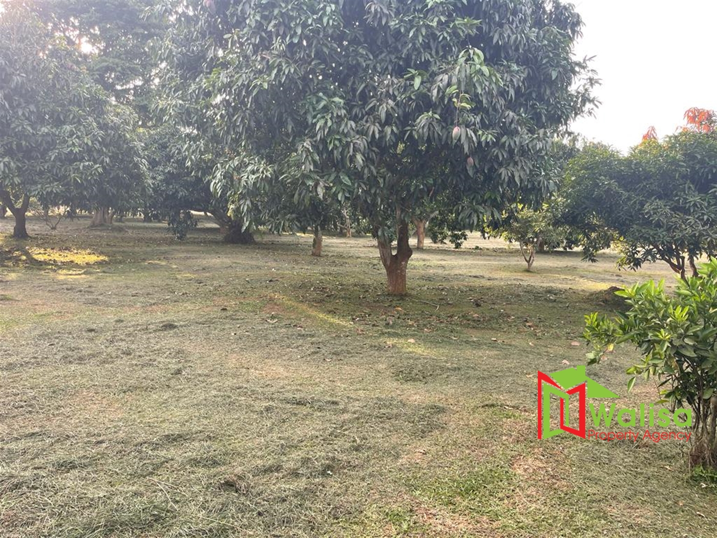 Residential Land for sale in Garuga Wakiso