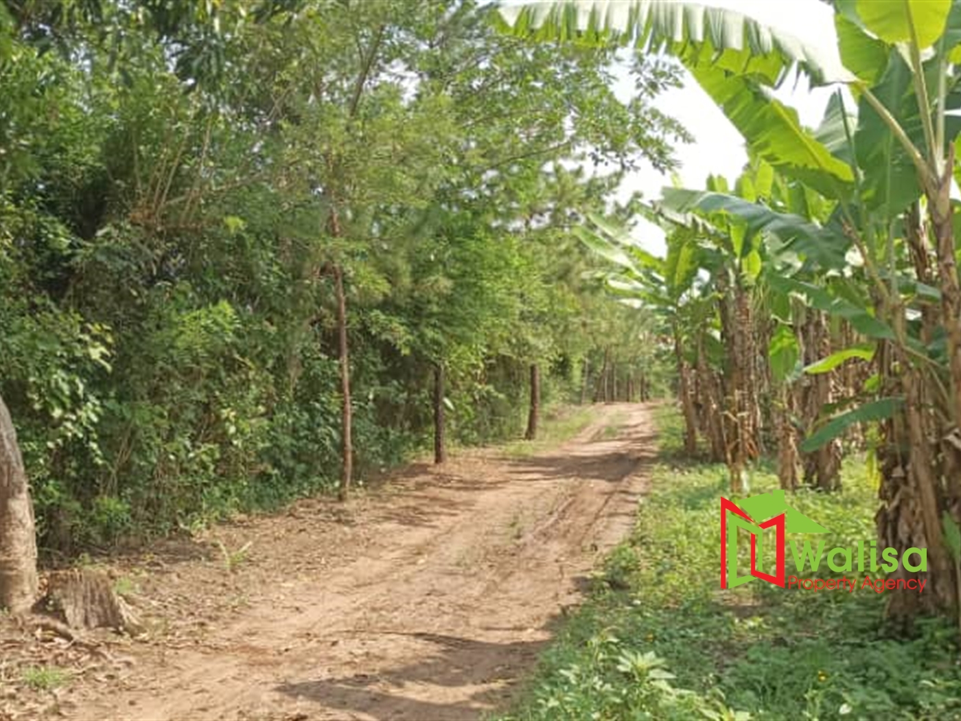 Agricultural Land for sale in Busiika Luweero