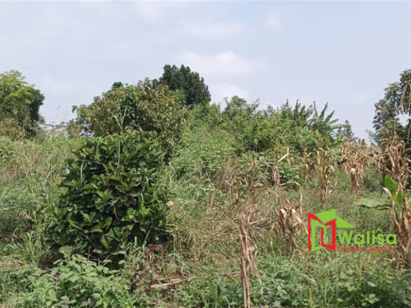 Agricultural Land for sale in Busiika Luweero