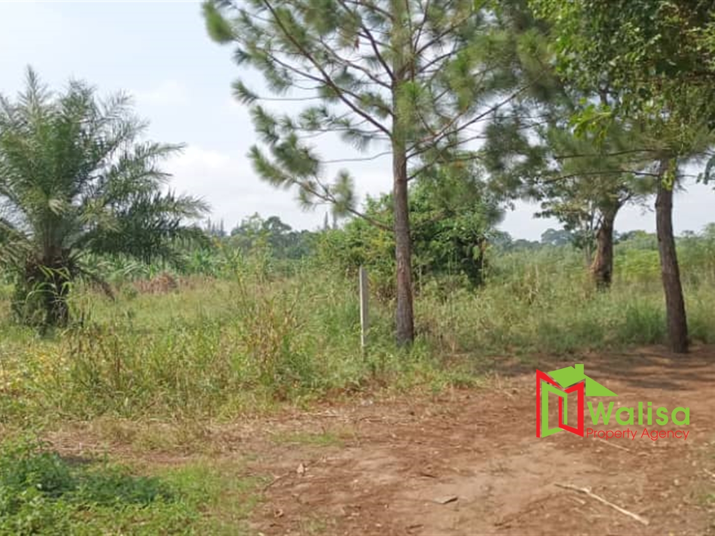 Agricultural Land for sale in Busiika Luweero