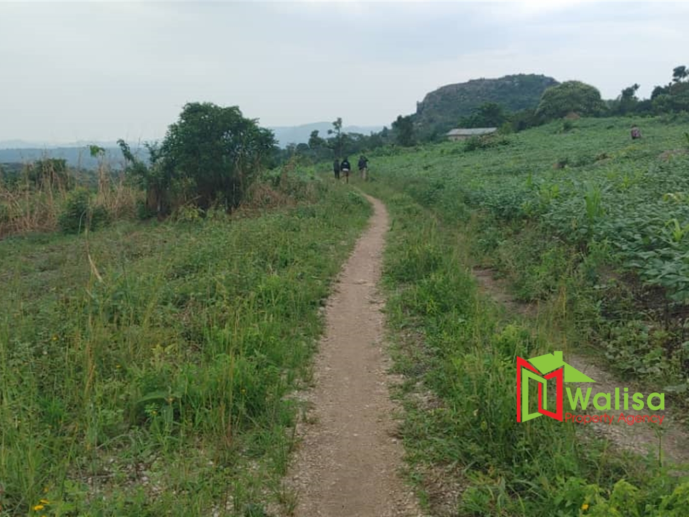 Multipurpose Land for sale in Bukomelo Kiboga