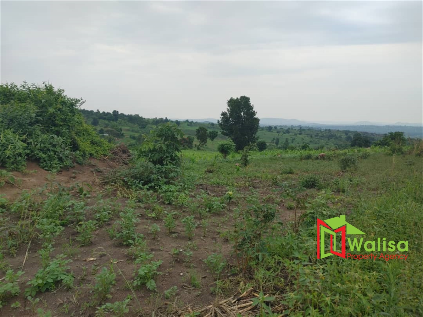 Multipurpose Land for sale in Bukomelo Kiboga