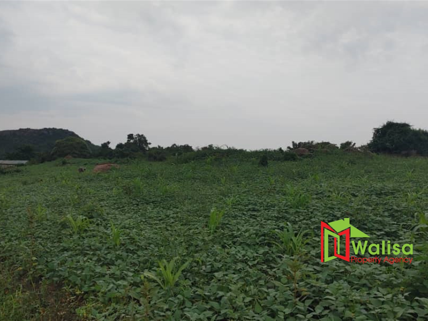 Multipurpose Land for sale in Bukomelo Kiboga