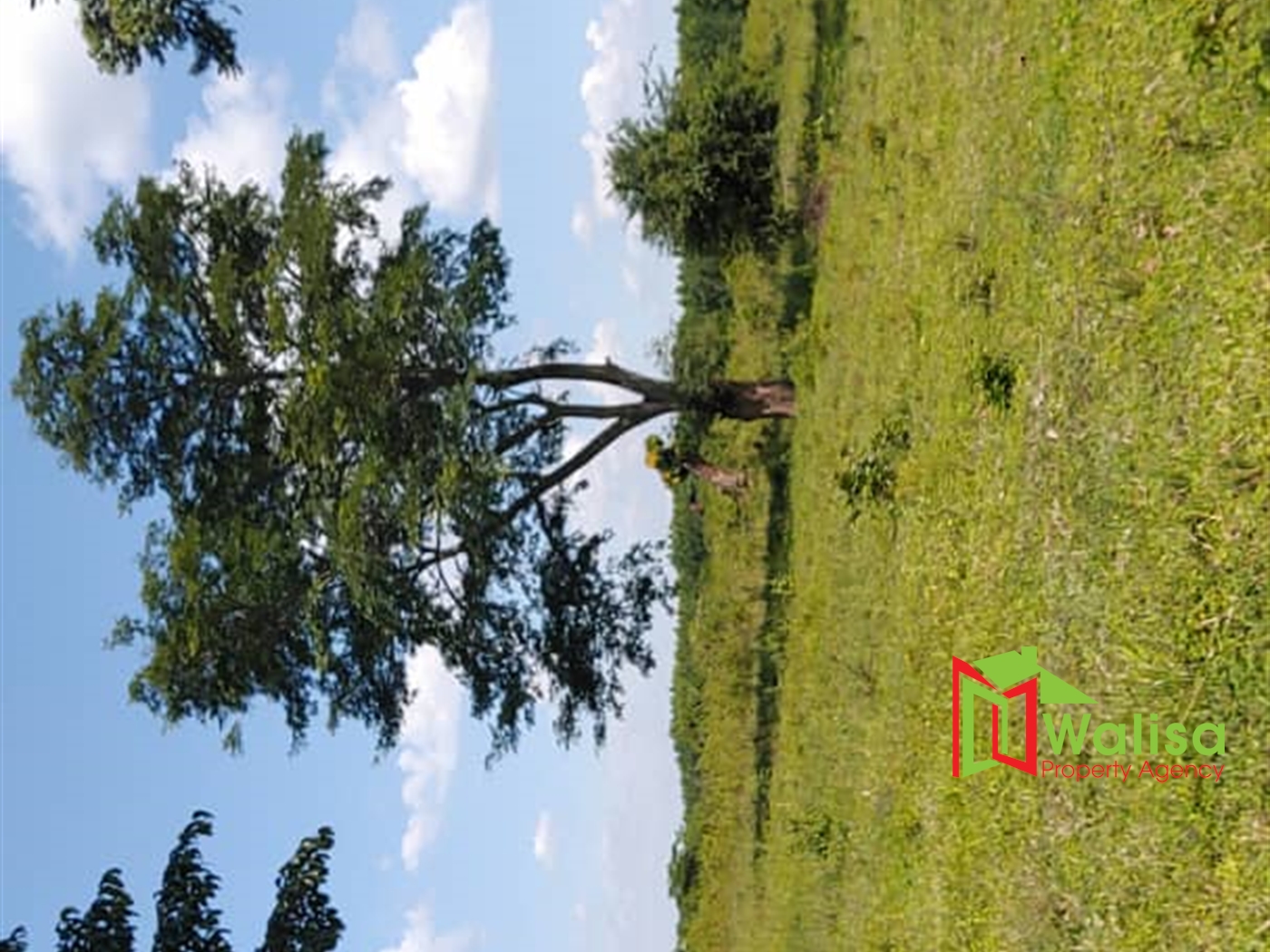 Multipurpose Land for sale in Bukomelo Kiboga