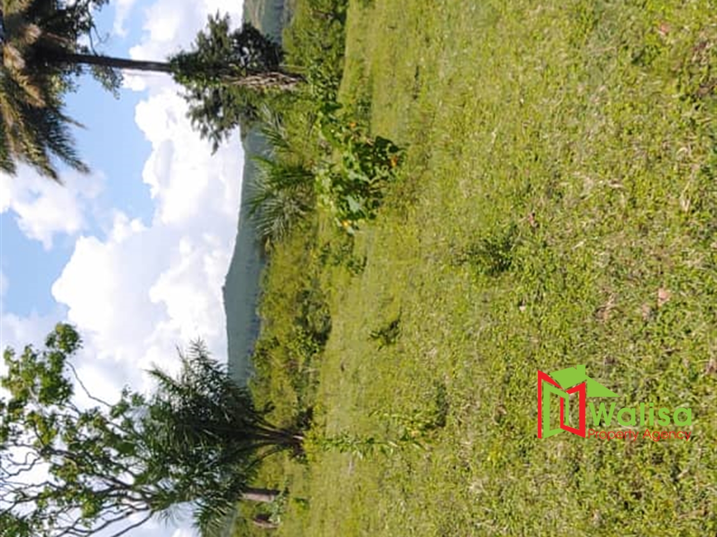 Multipurpose Land for sale in Bukomelo Kiboga