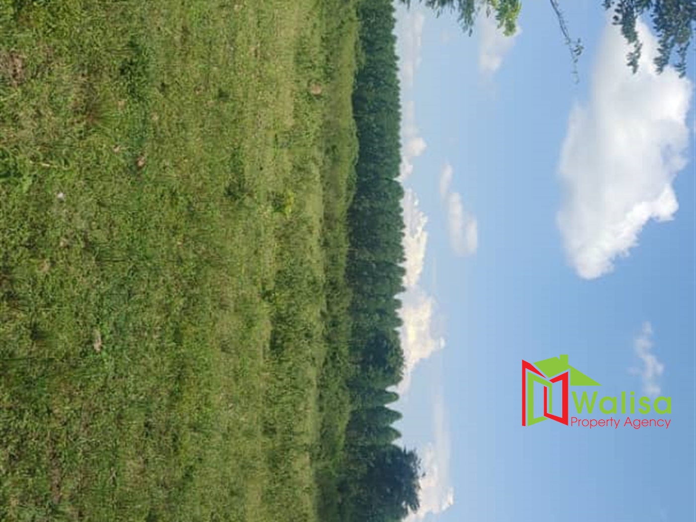 Multipurpose Land for sale in Bukomelo Kiboga