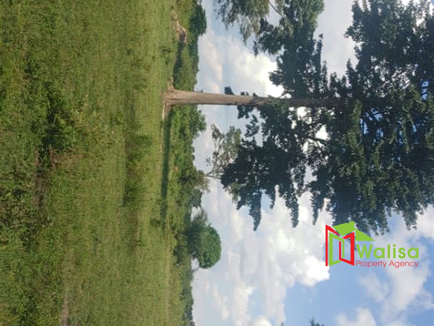 Multipurpose Land for sale in Bukomelo Kiboga