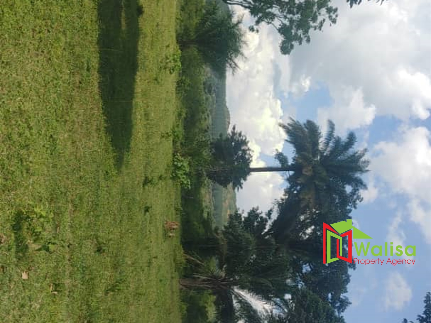 Multipurpose Land for sale in Bukomelo Kiboga