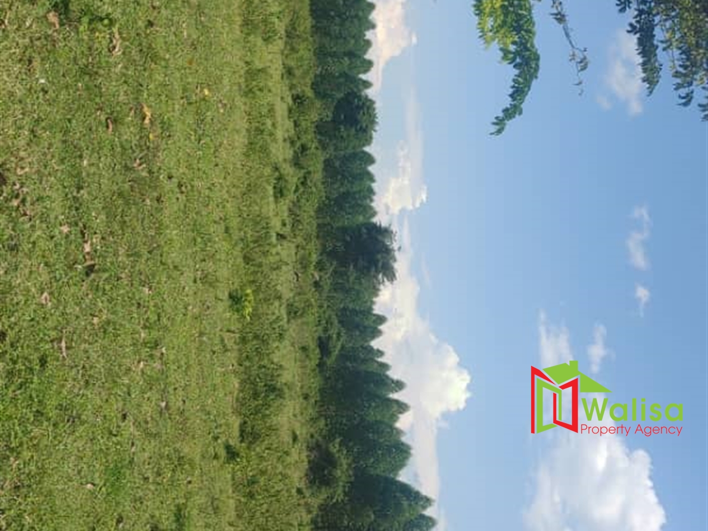 Multipurpose Land for sale in Bukomelo Kiboga