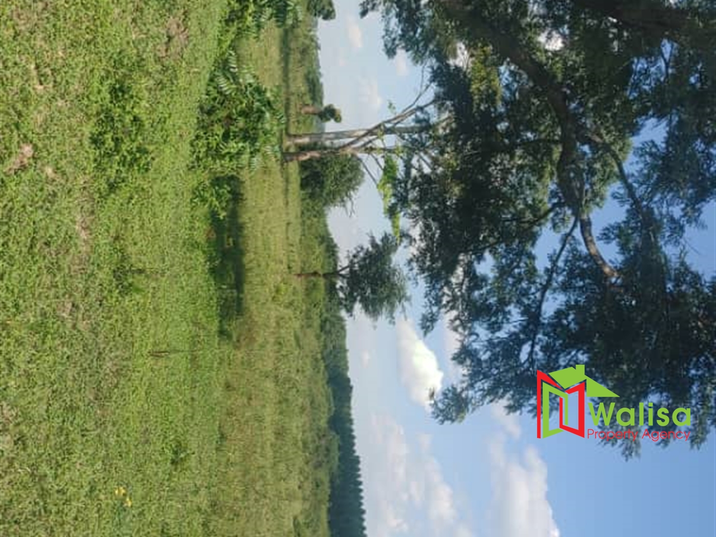 Multipurpose Land for sale in Bukomelo Kiboga