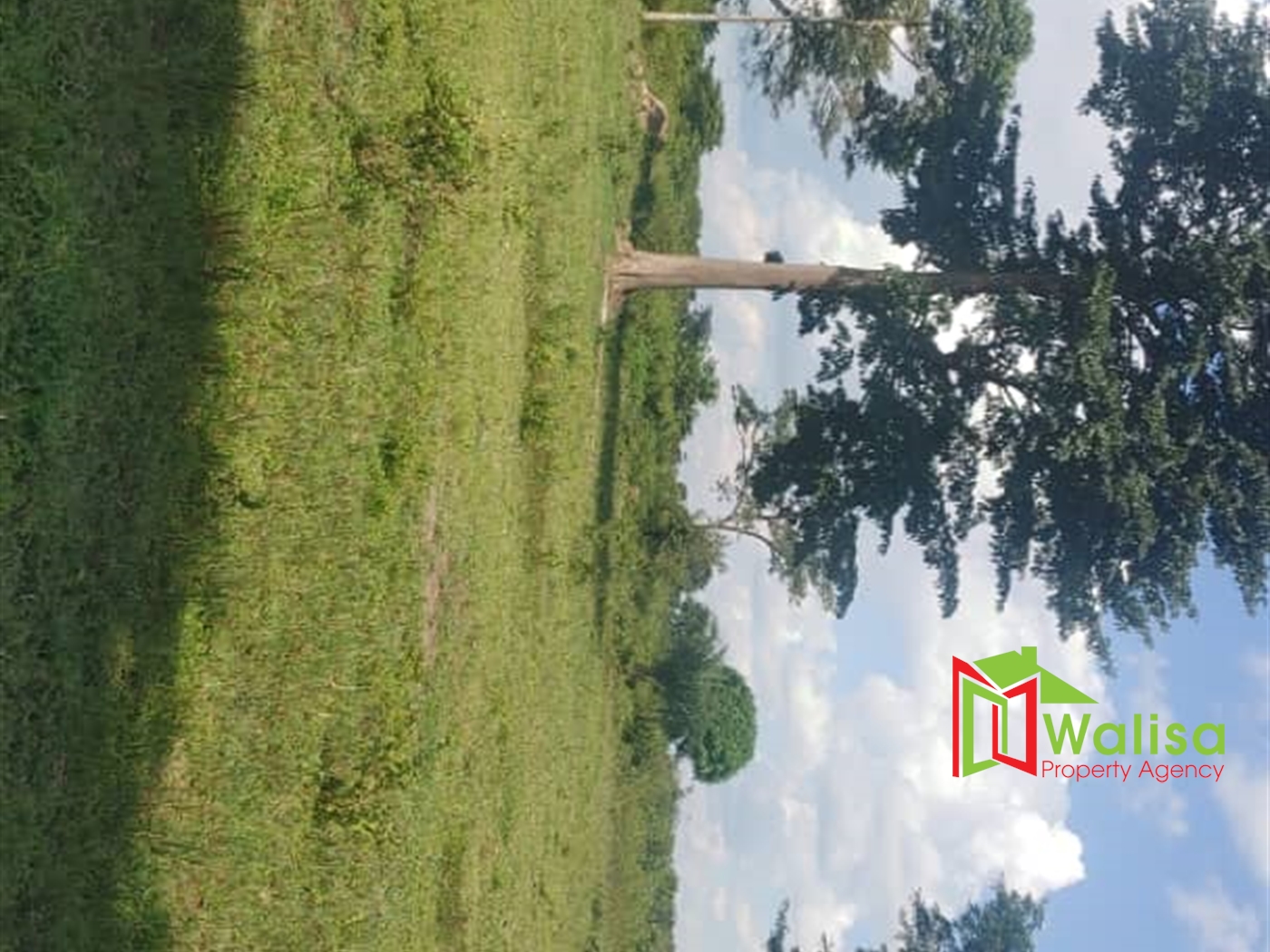 Multipurpose Land for sale in Bukomelo Kiboga