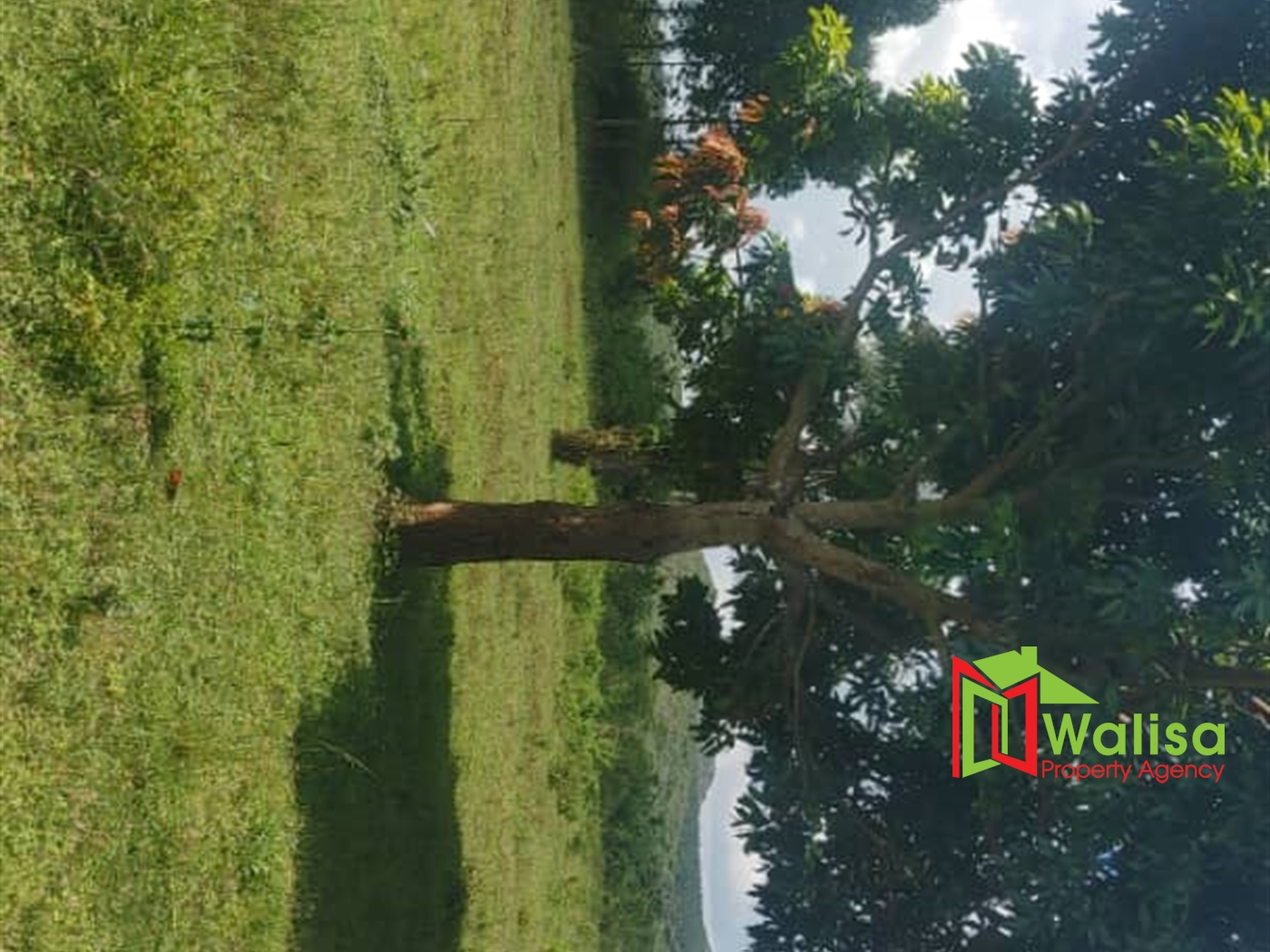 Multipurpose Land for sale in Bukomelo Kiboga