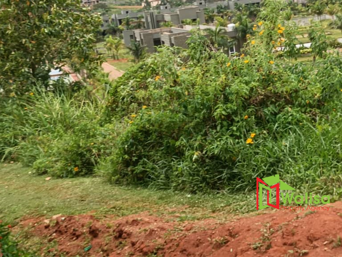 Residential Land for sale in Akright Wakiso