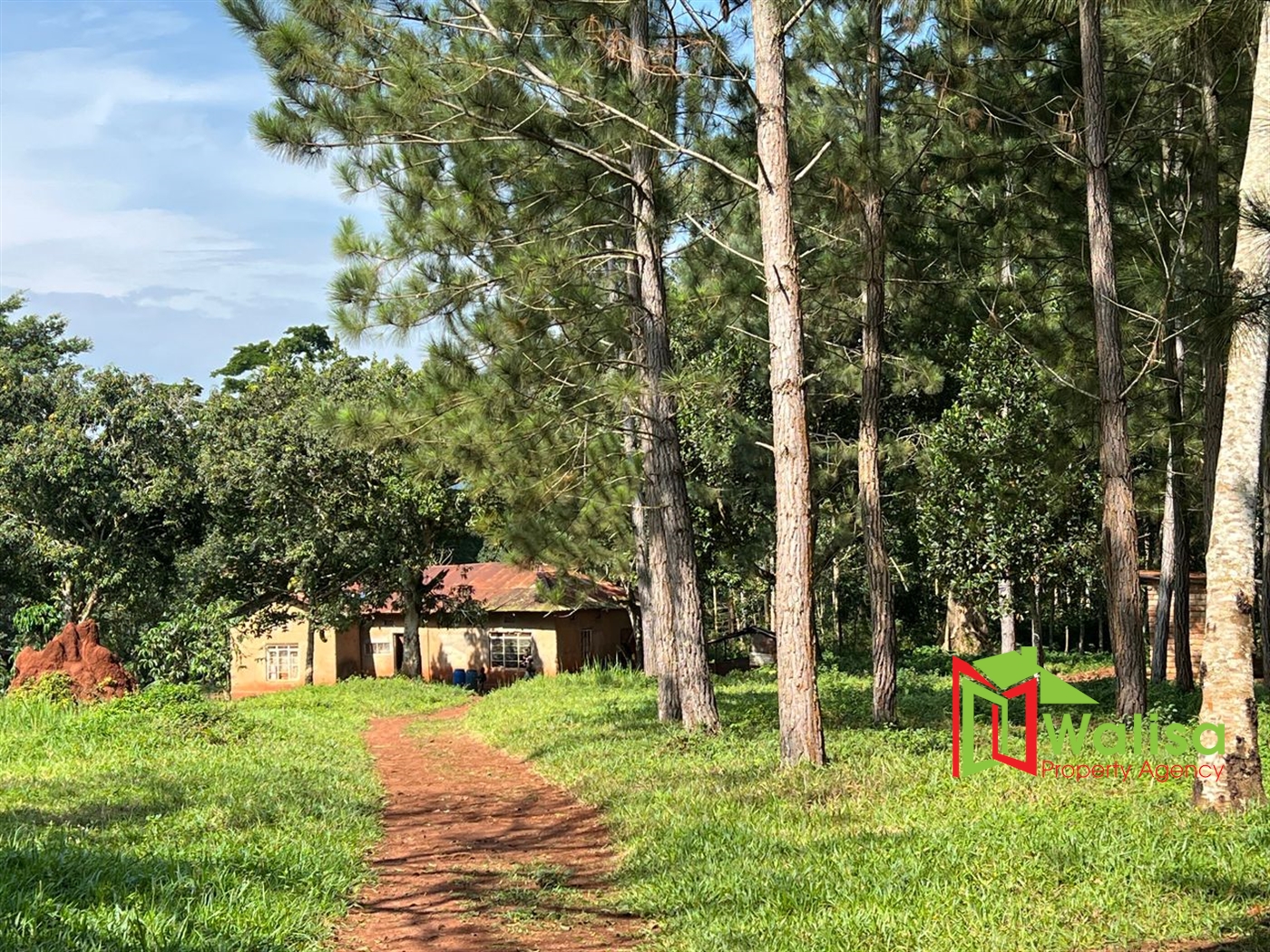 Multipurpose Land for sale in Banda Mukono