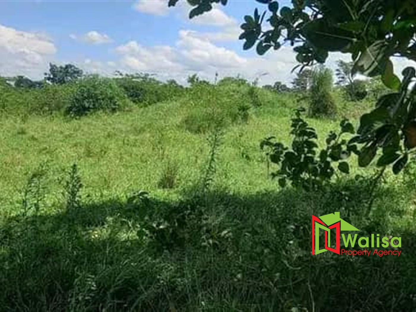 Multipurpose Land for sale in Bukakata Masaka