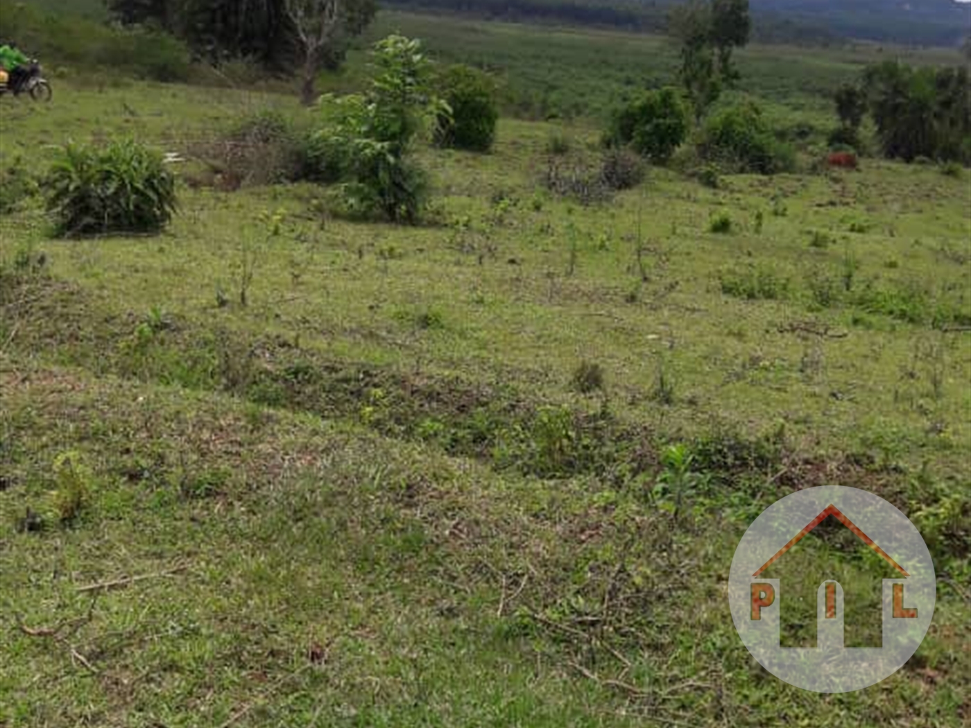 Agricultural Land for sale in Gomba Wakiso Uganda, code 36090, 21/08/2024