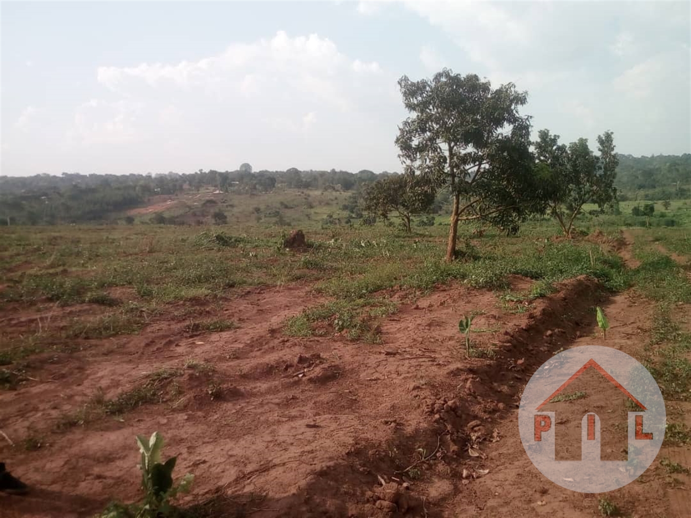 Agricultural Land for sale in Katikamu Luweero Uganda, code: 40811, 08 ...