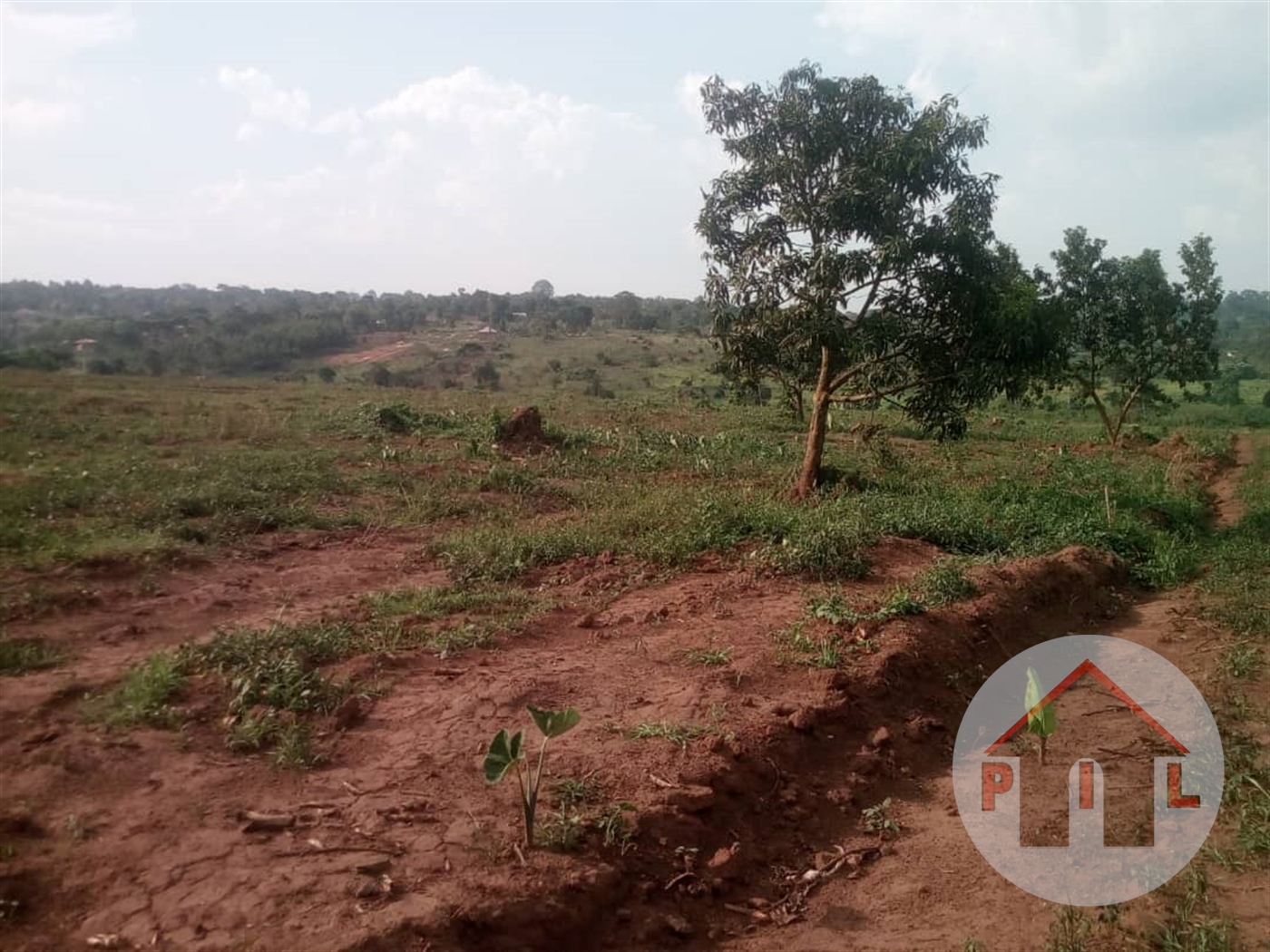 Agricultural Land for sale in Kakooge Luwero Uganda, code: 40814, 17/06 ...