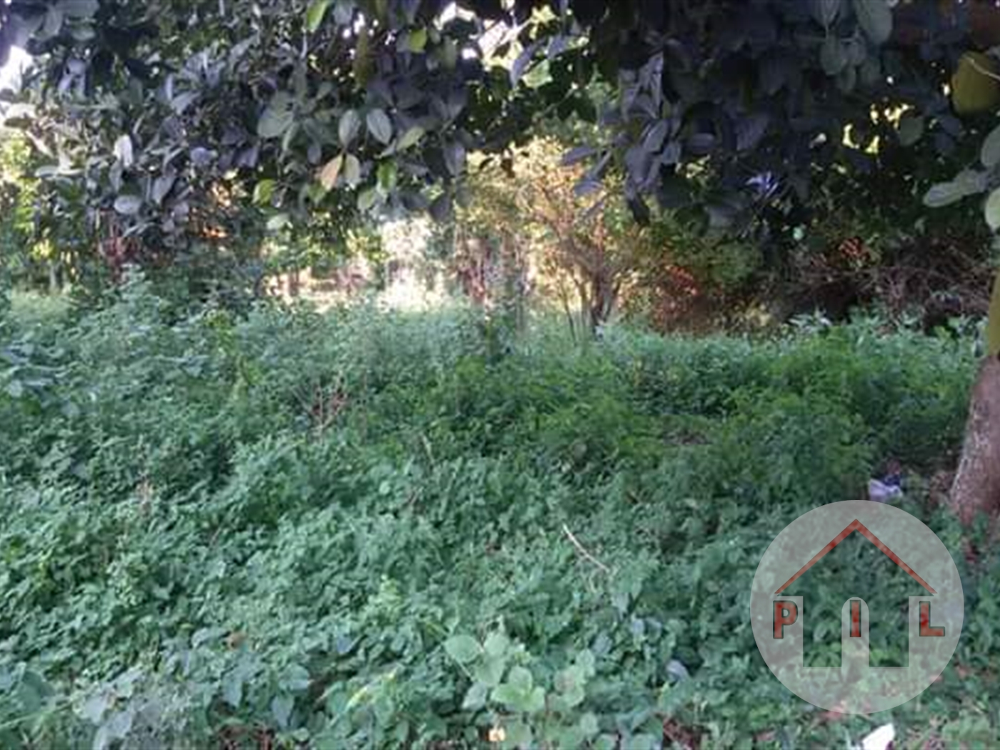 Agricultural Land for sale in Kayunga Kayunga