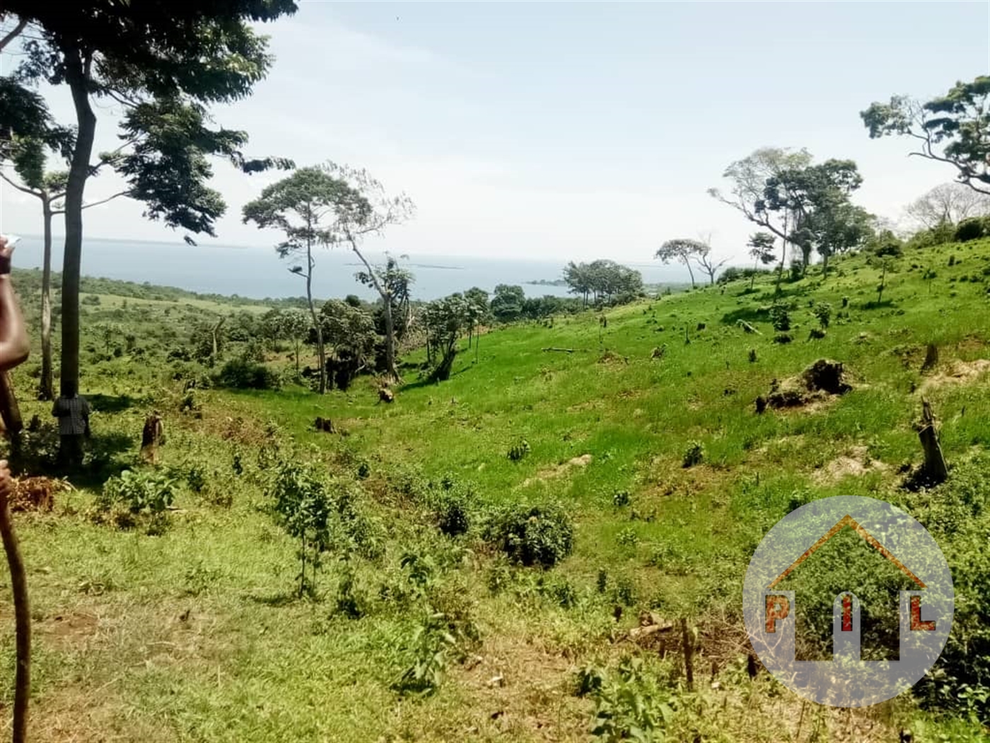 Agricultural Land for sale in Kyamuyingo Nakasongola