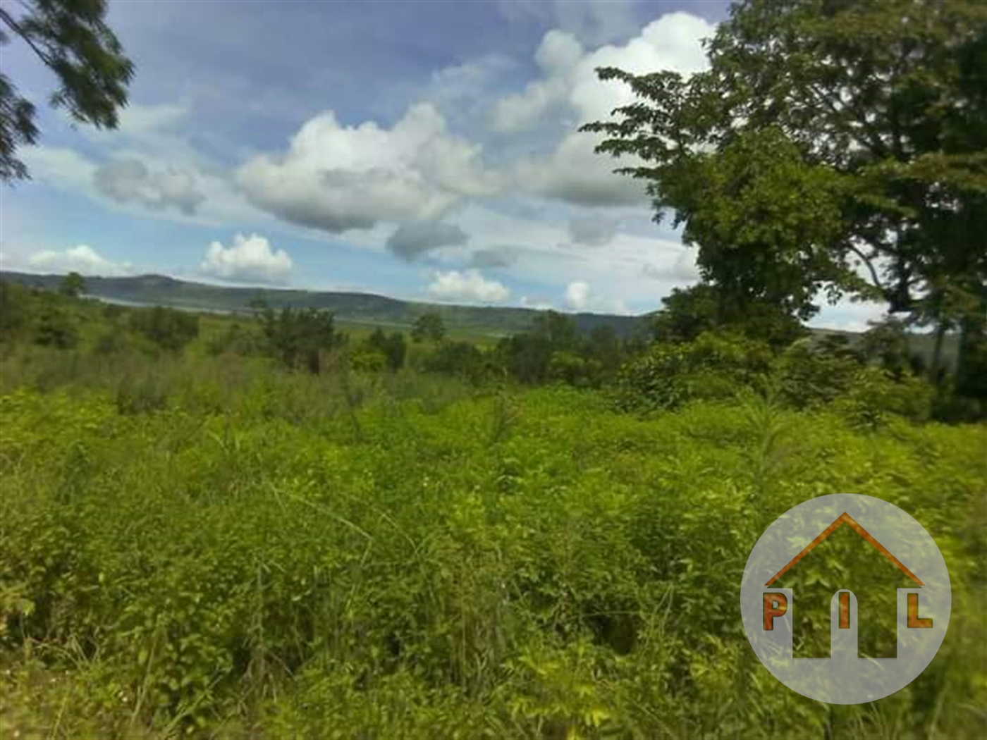 Agricultural Land for sale in Nkokonjeru Mukono