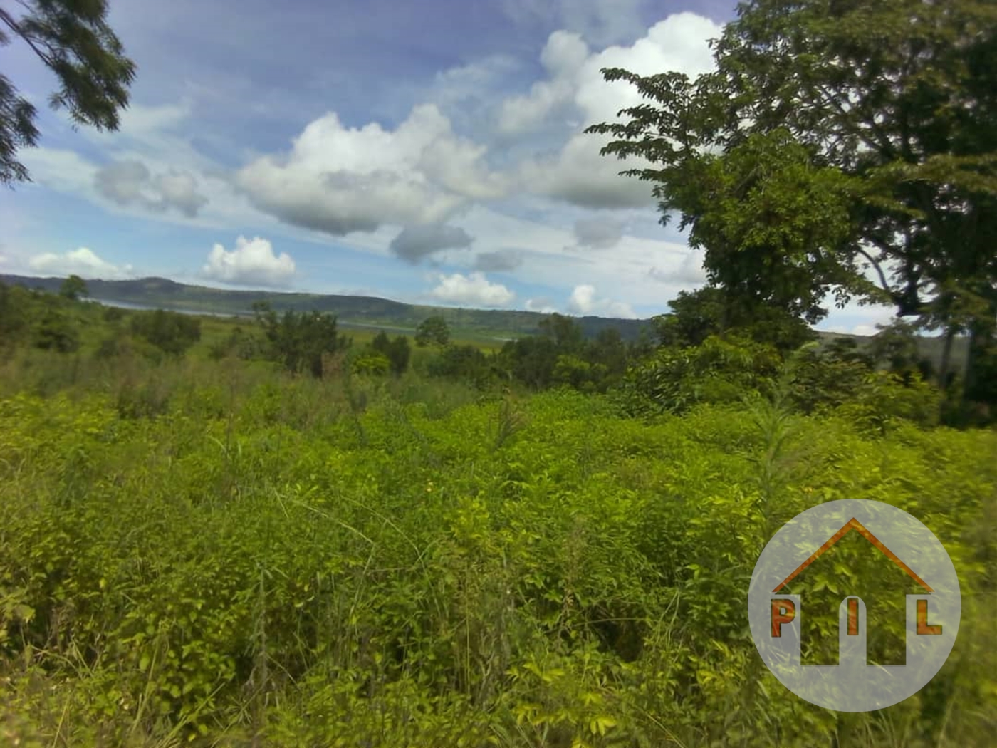 Agricultural Land for sale in Muhanga Rukungiri