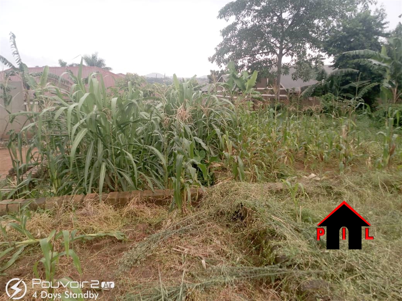 Agricultural Land for sale in Mityana Mityana