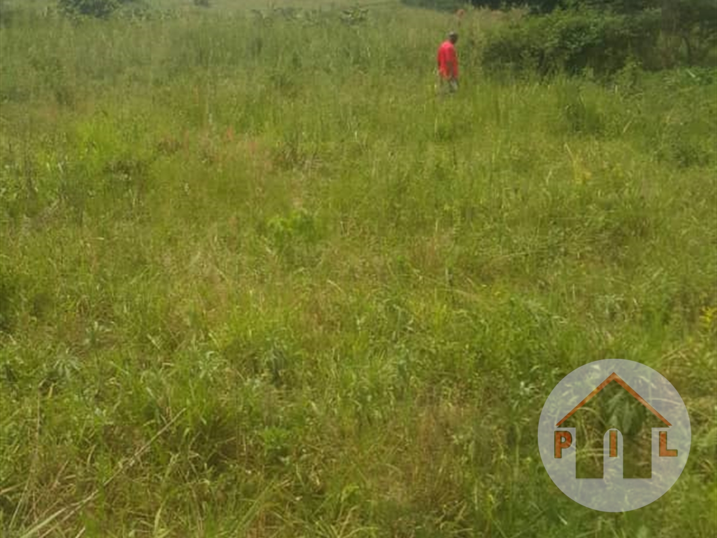 Agricultural Land for sale in Mubende Mubende