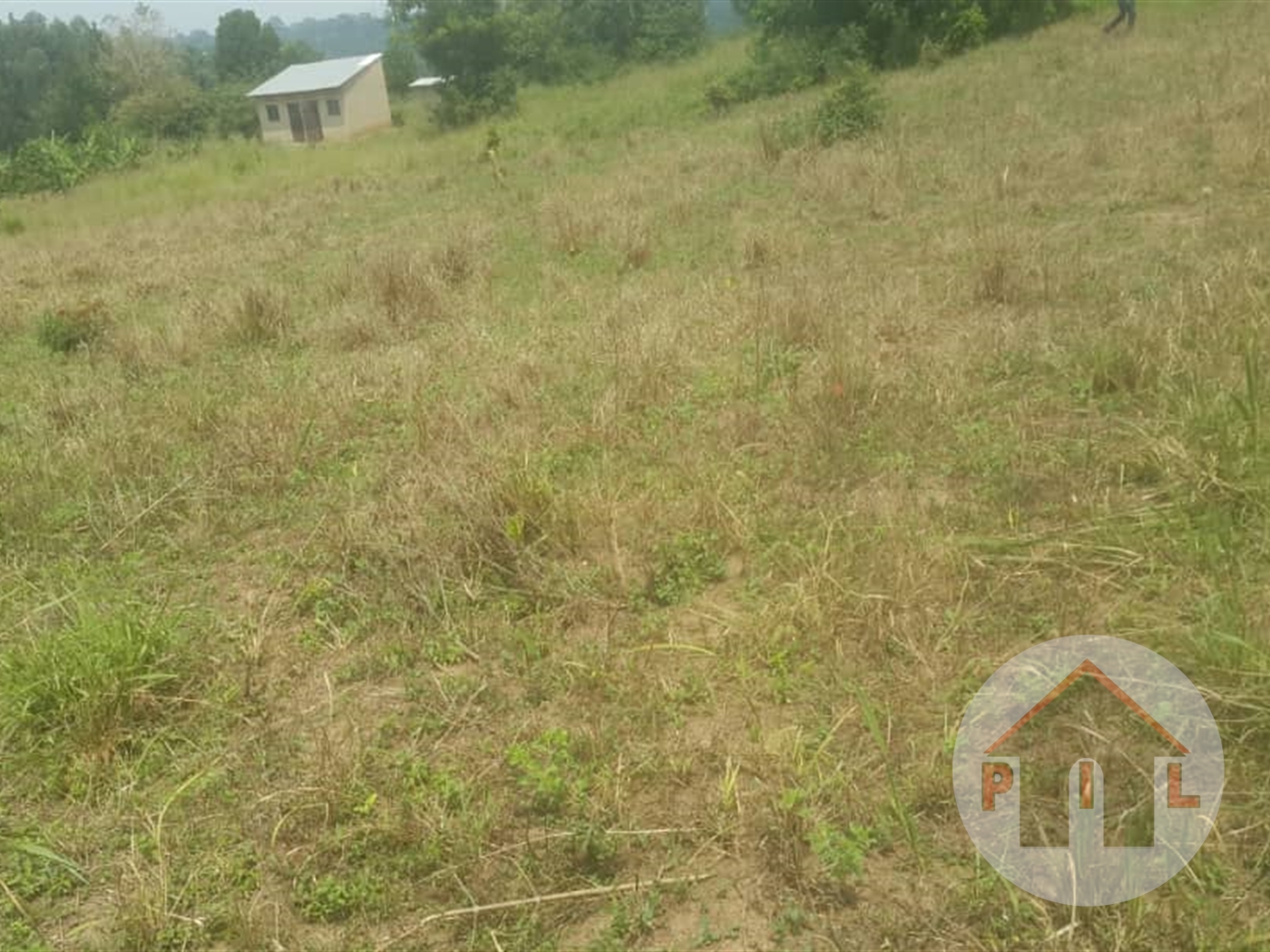 Agricultural Land for sale in Mubende Mubende