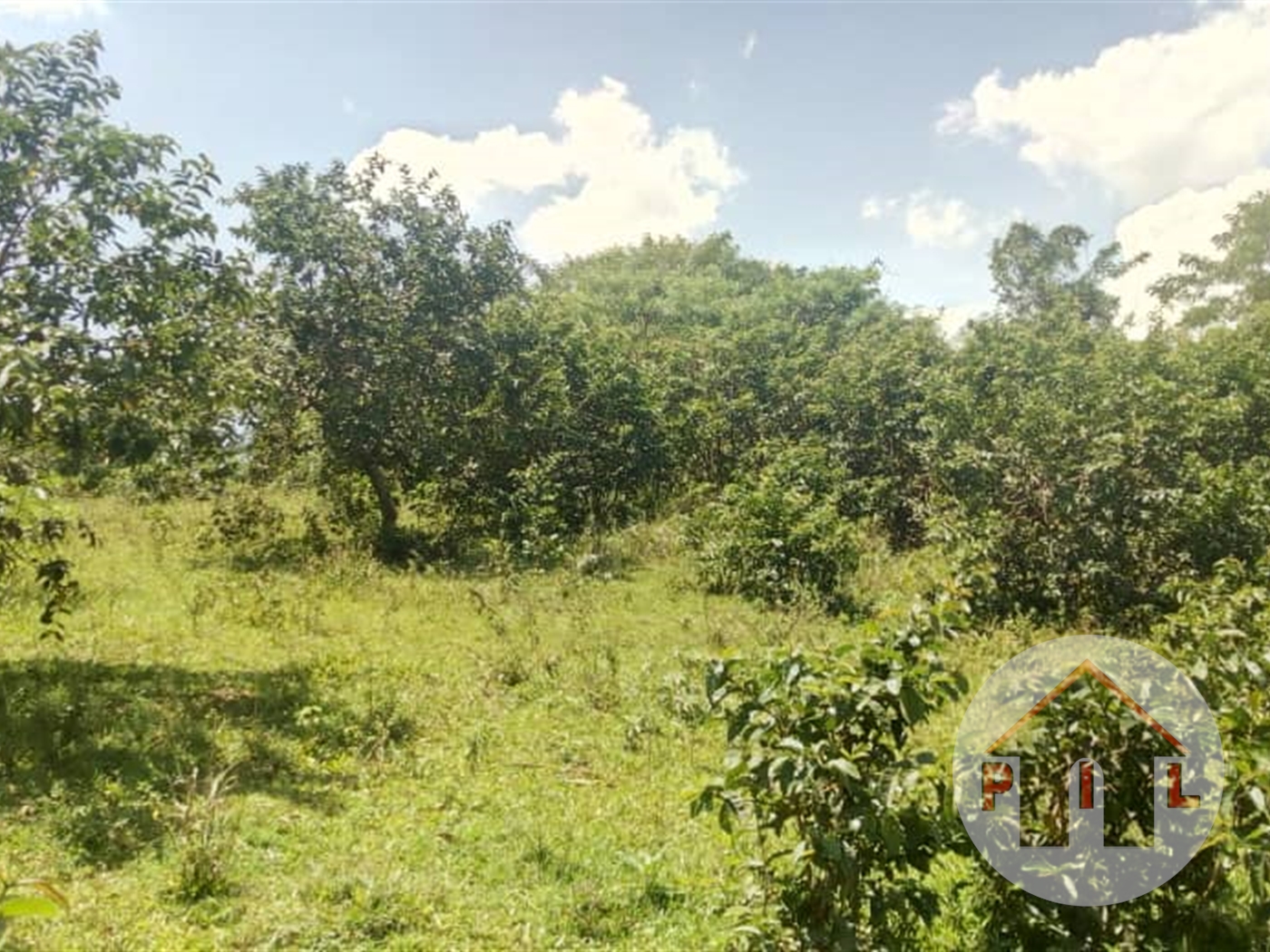 Agricultural Land for sale in Lukaya Masaka