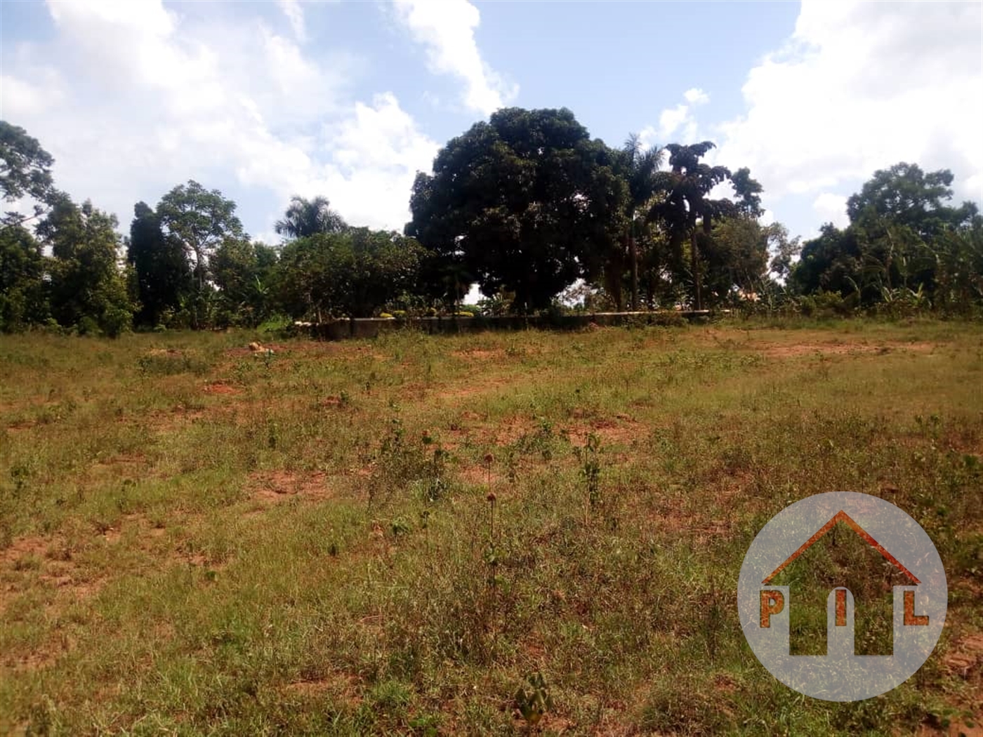Agricultural Land for sale in Lukaya Masaka Uganda, code: 49066, 21/10/2023
