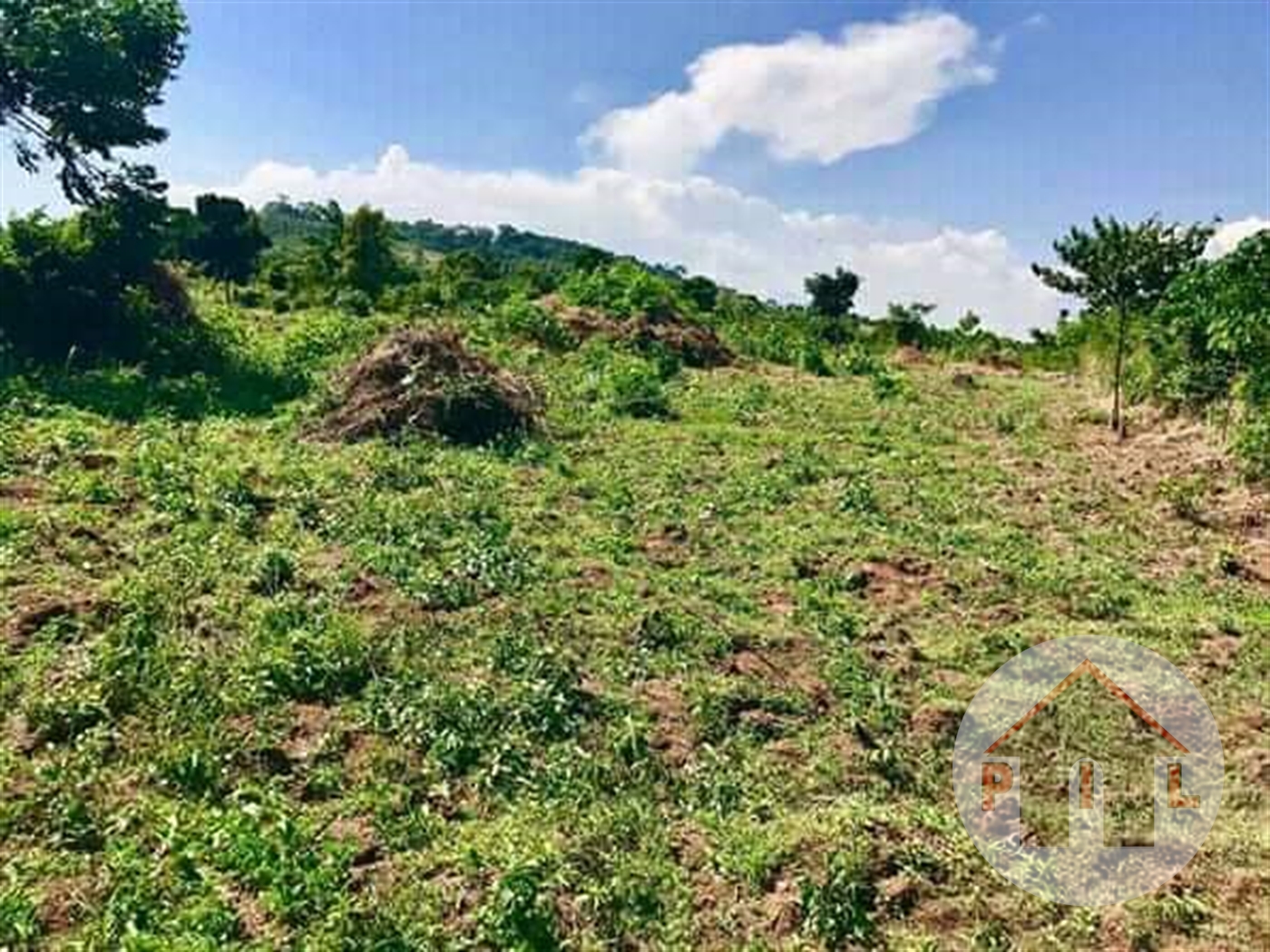 Agricultural Land for sale in Kanyogoga Kayunga