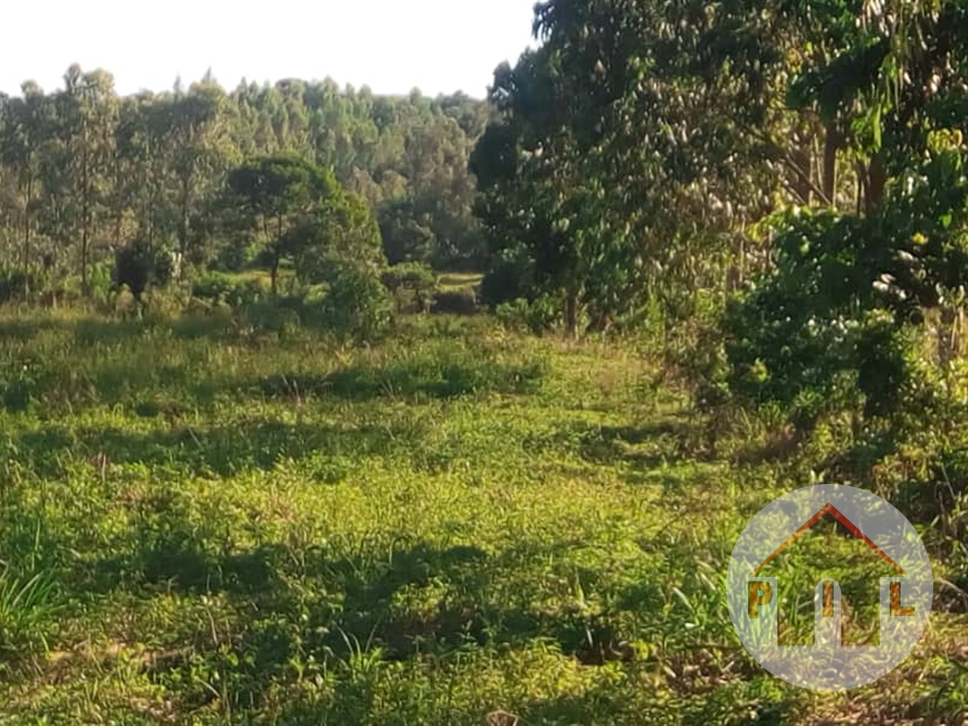 Agricultural Land for sale in Kanyogoga Kayunga