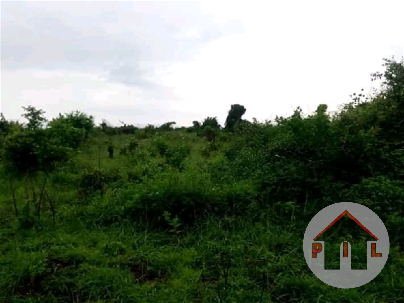 Agricultural Land for sale in Galilaya Kayunga