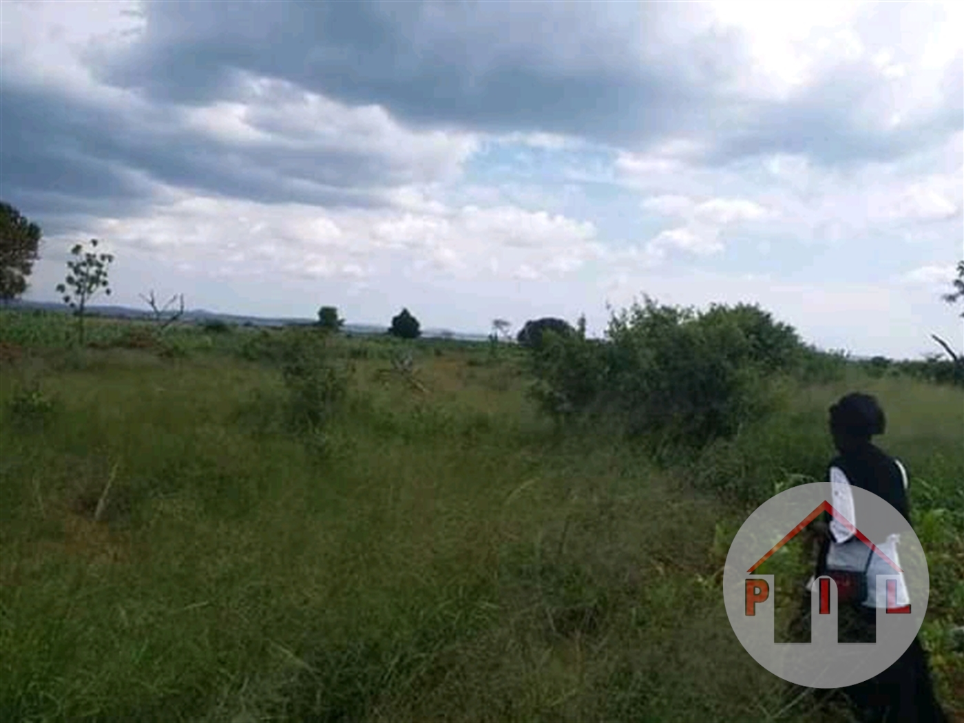 Agricultural Land for sale in Galilaya Kayunga