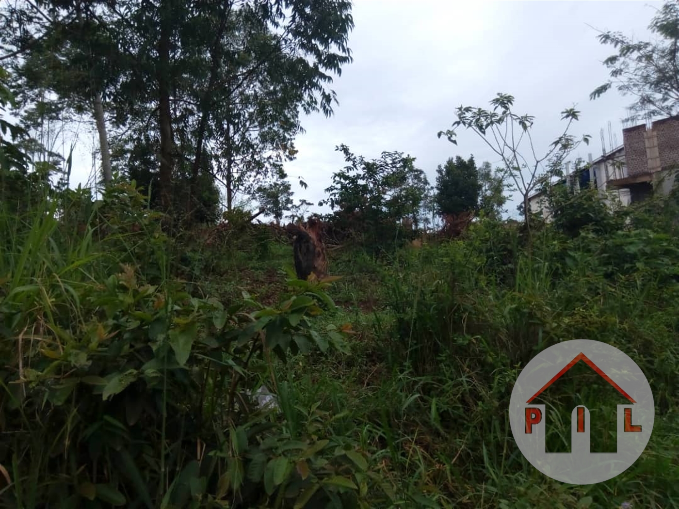 Residential Land for sale in Kiwenda Wakiso