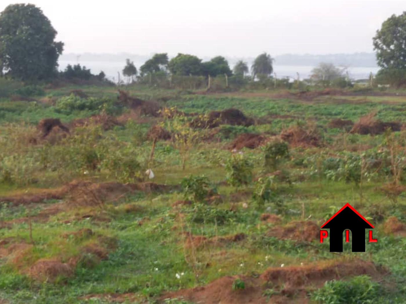 Residential Land for sale in Masooli Wakiso