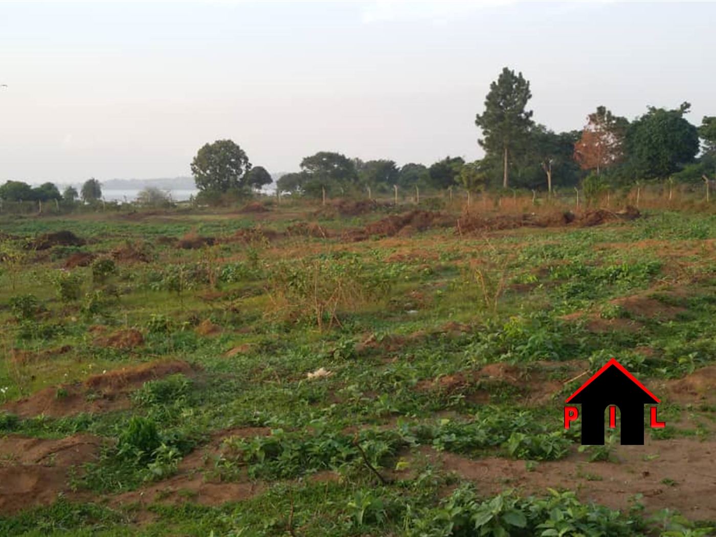 Residential Land for sale in Masooli Wakiso