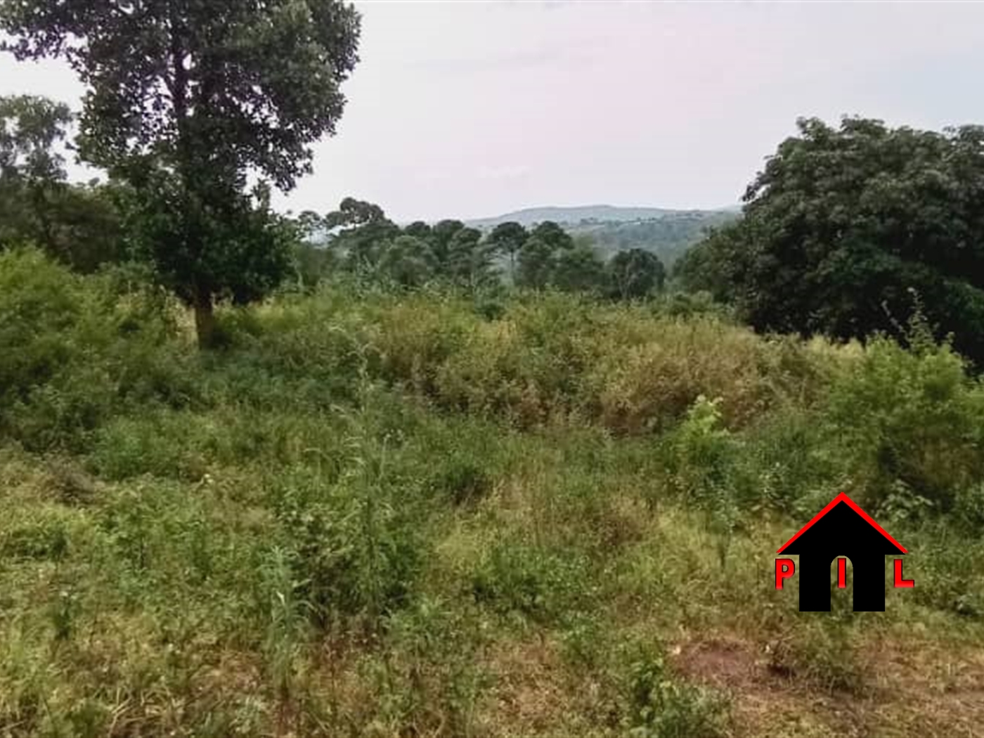 Agricultural Land for sale in Kisoga Kayunga