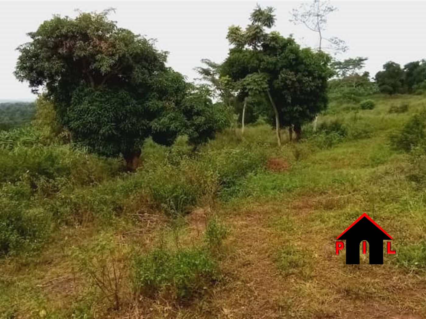 Agricultural Land for sale in Kisoga Kayunga