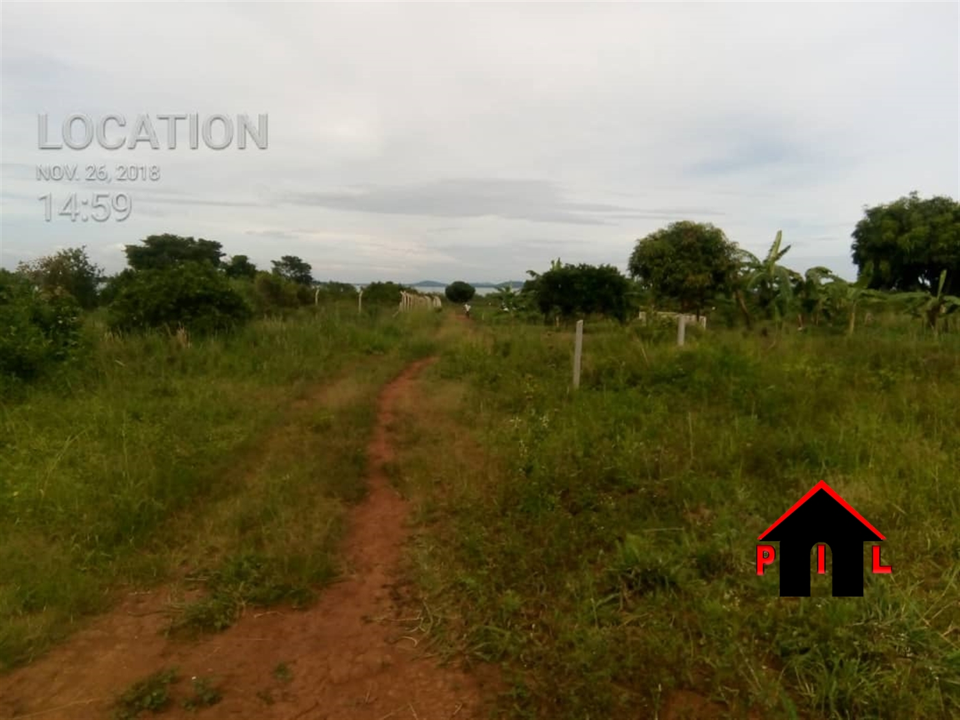 Agricultural Land for sale in Kasawo Mukono