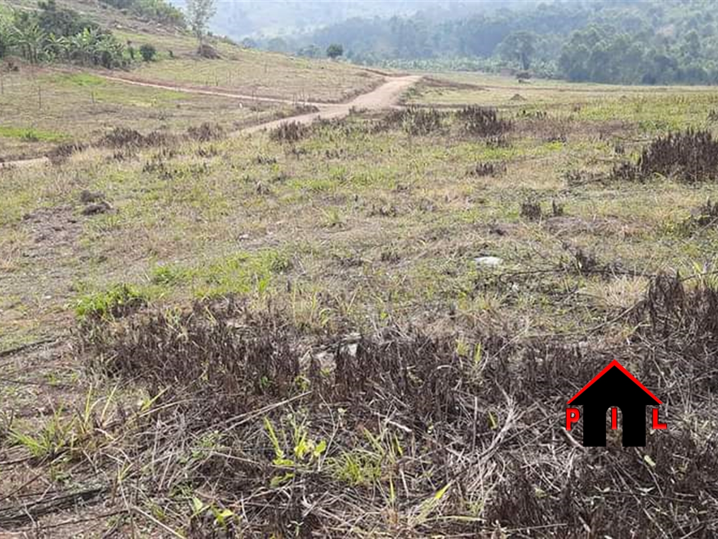 Agricultural Land for sale in Ndibulungi Luweero