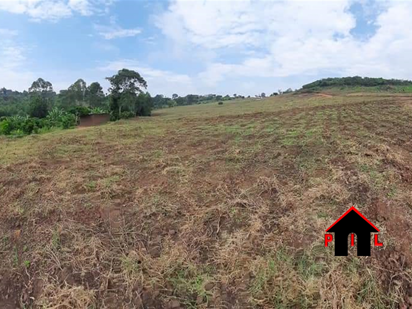 Agricultural Land for sale in Ndibulungi Luweero