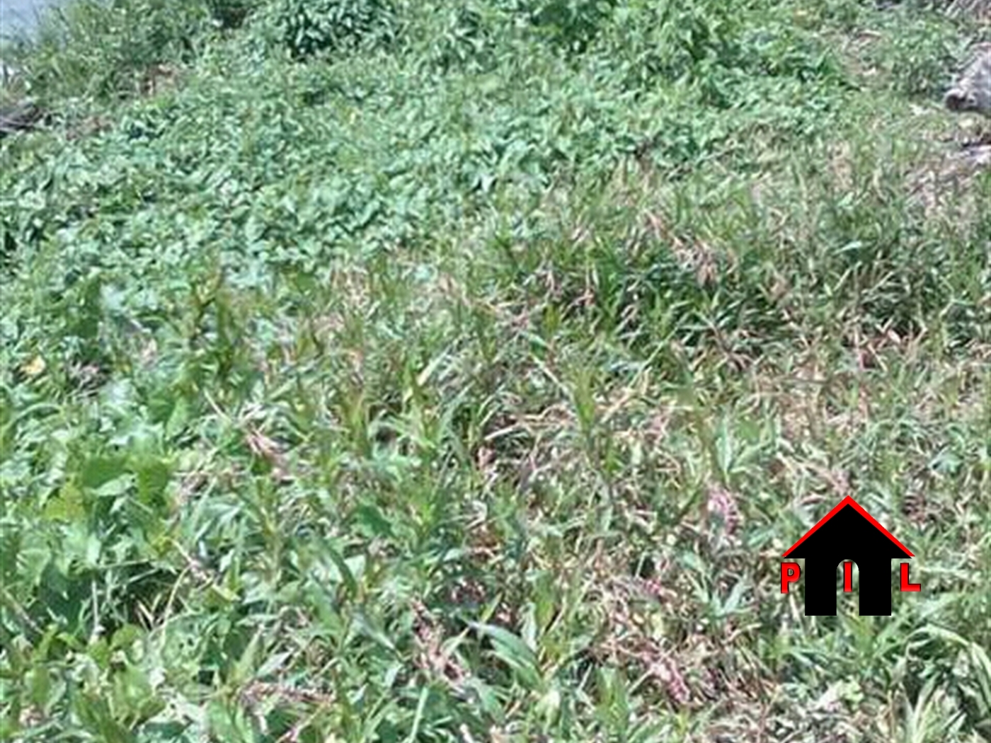 Agricultural Land for sale in Butanga Masaka