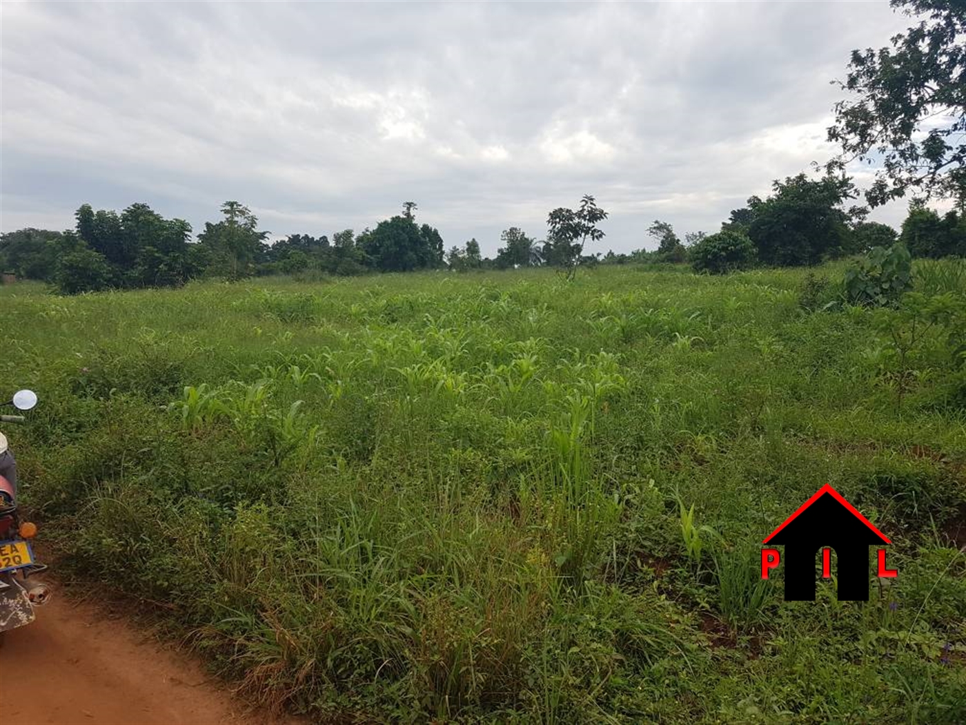 Agricultural Land for sale in Lukaya Masaka Uganda, code: 91852, 10/08/2022