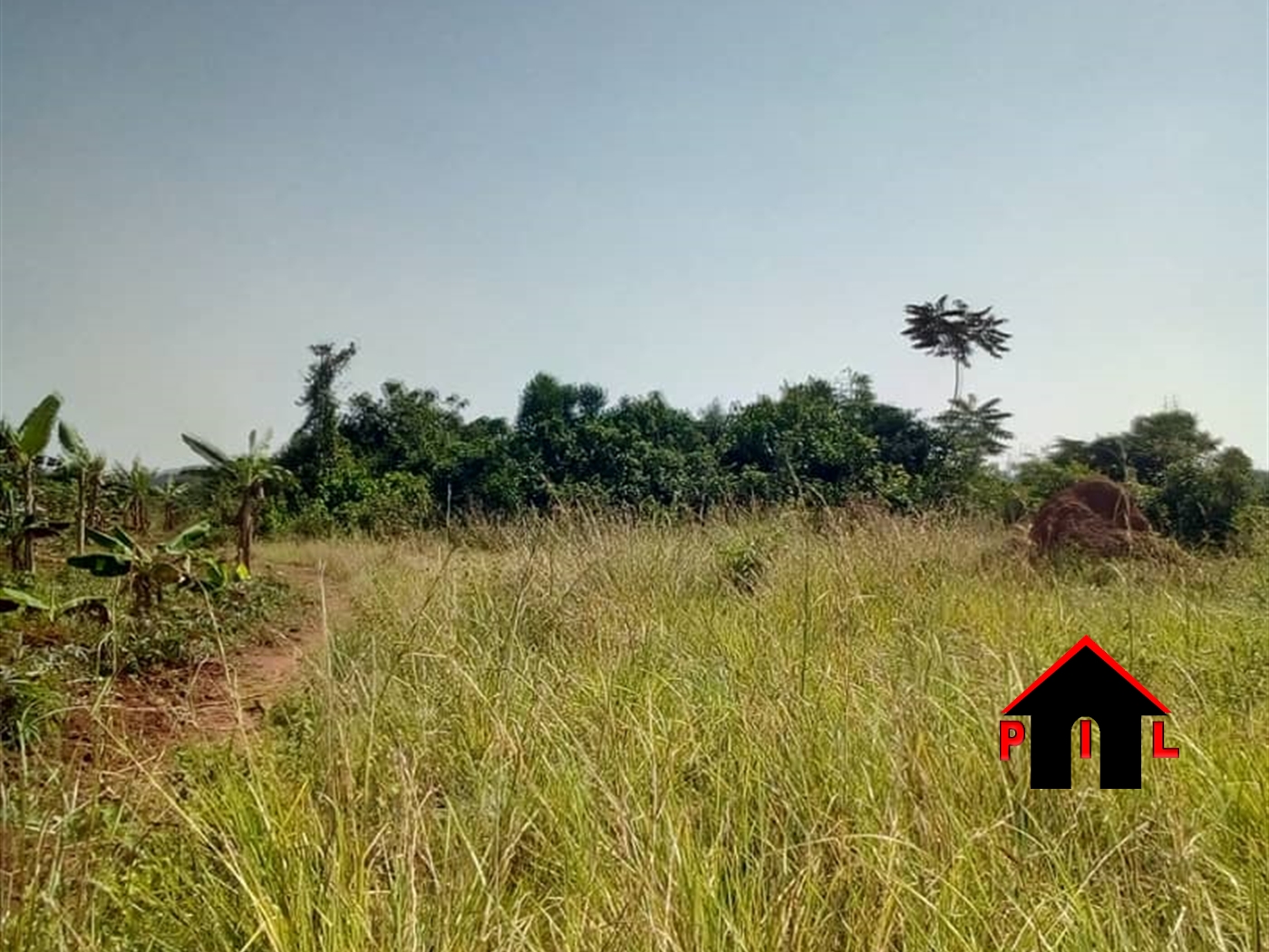 Agricultural Land for sale in Kasawo Mukono